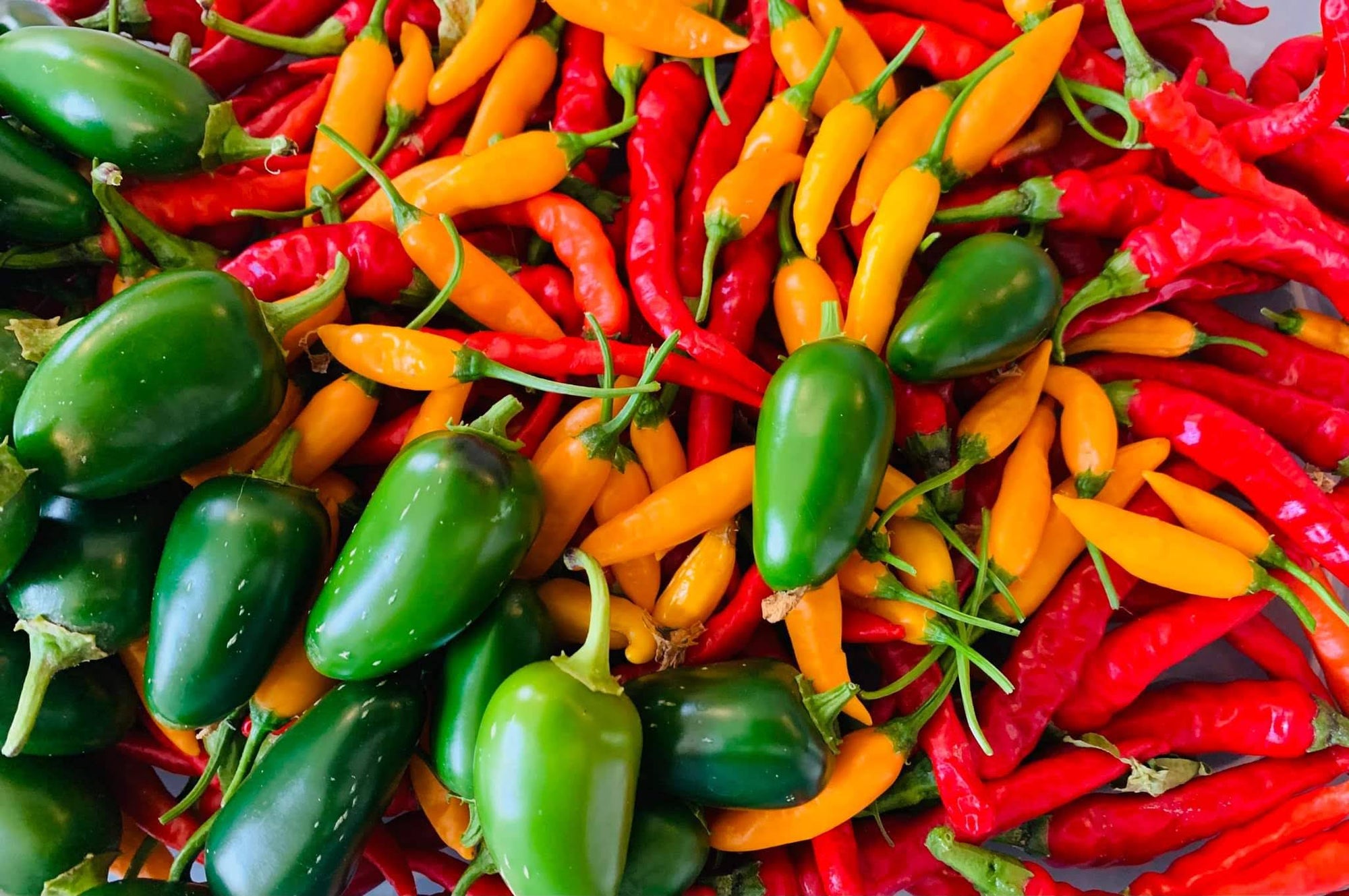 5 Tips and Tricks for Eating Spicier Food - Maritime Madness